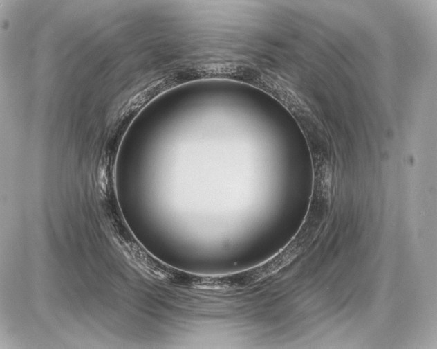 X0000086960746200704161518