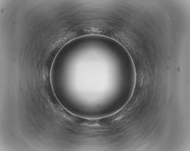 X0000086960747200704161518