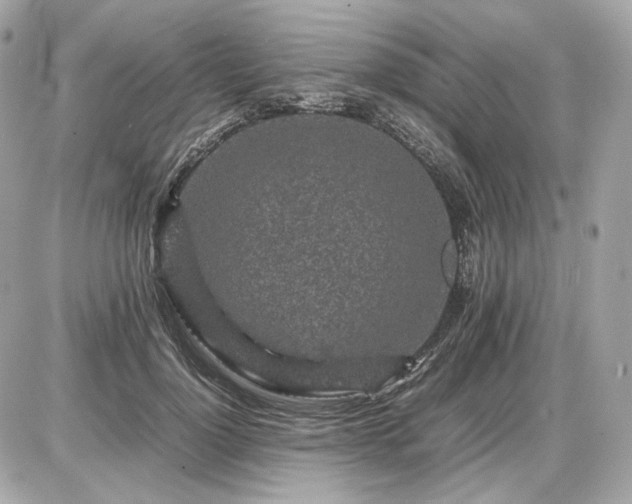 X0000086960748200704161518