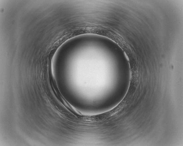 X0000086960750200704161518