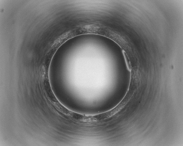 X0000086960752200704161518
