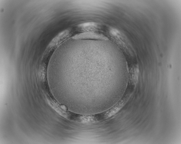 X0000086960762200704161518