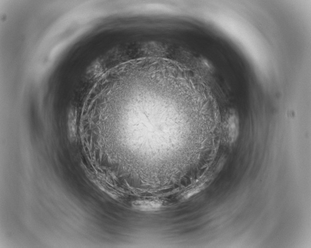 X0000086960765200704161518