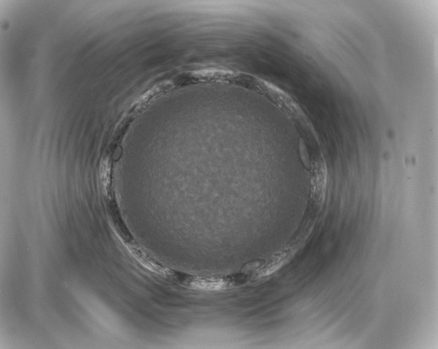 X0000086960767200704161518