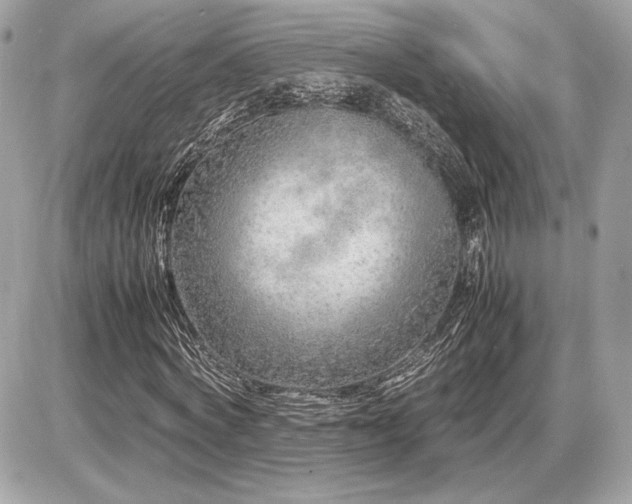 X0000086960772200704161518