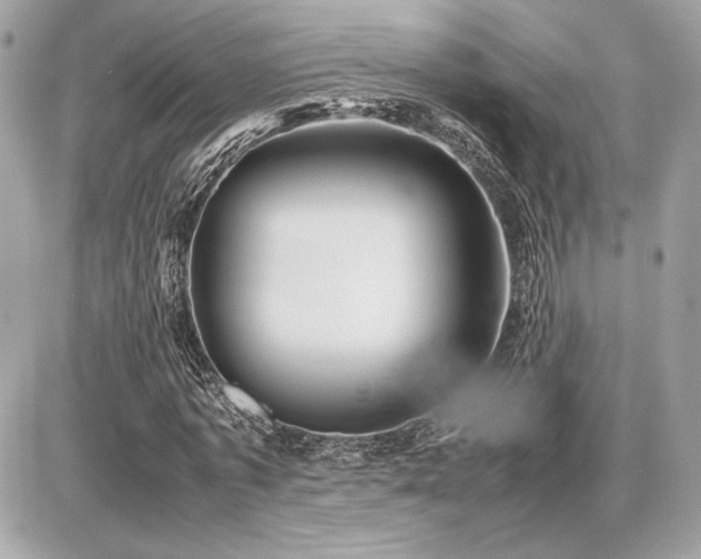 X0000086960773200704161518
