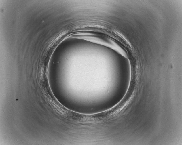 X0000086960777200704161517