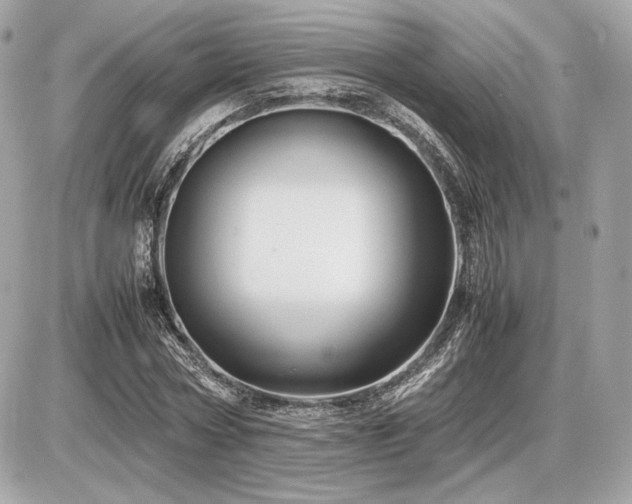 X0000086960778200704161517