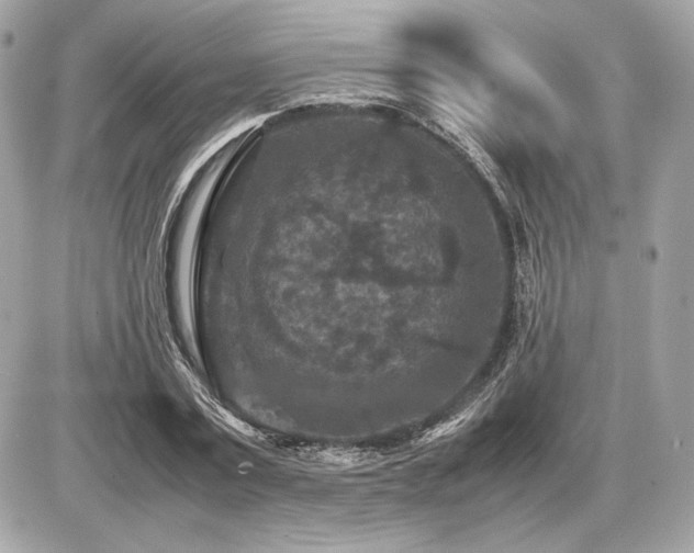 X0000086960779200704161517