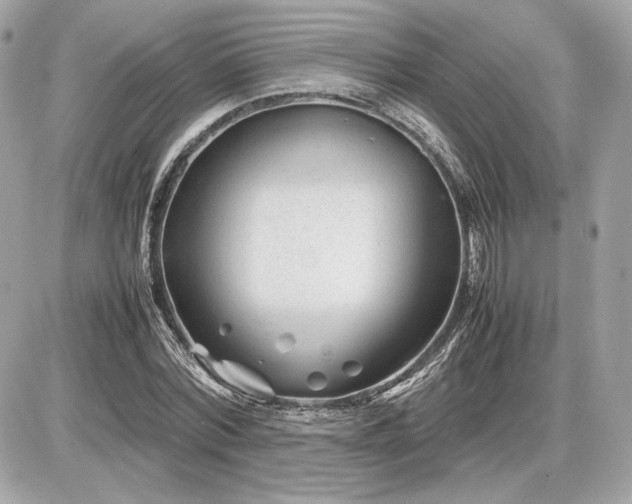X0000086960780200704161517