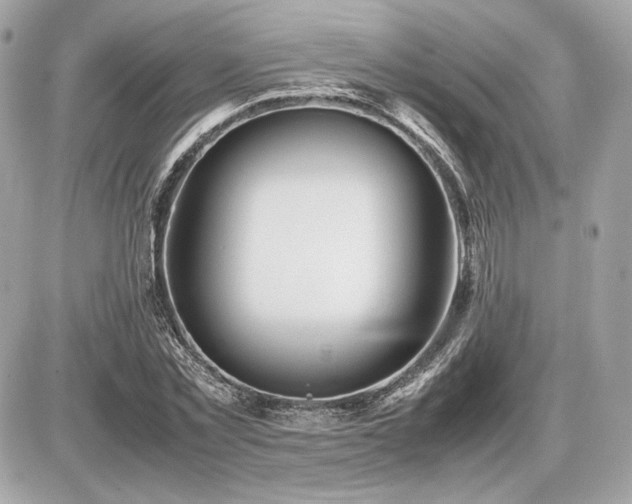X0000086960781200704161517