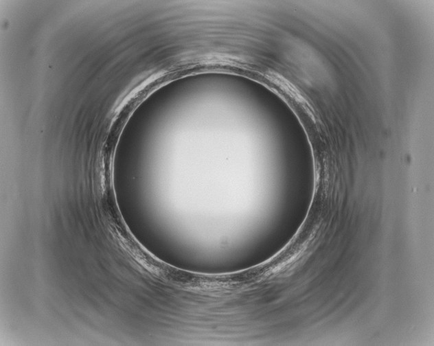 X0000086960782200704161517