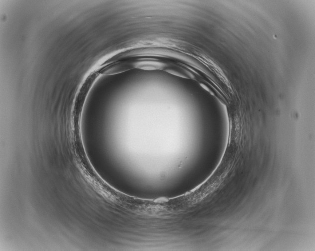 X0000086960784200704161517
