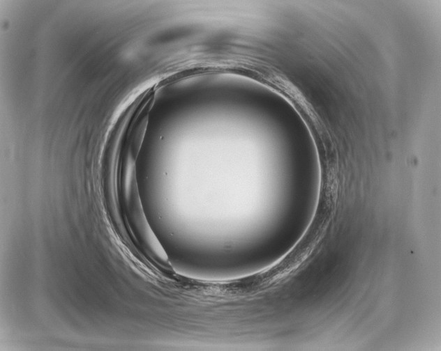 X0000086960787200704161517