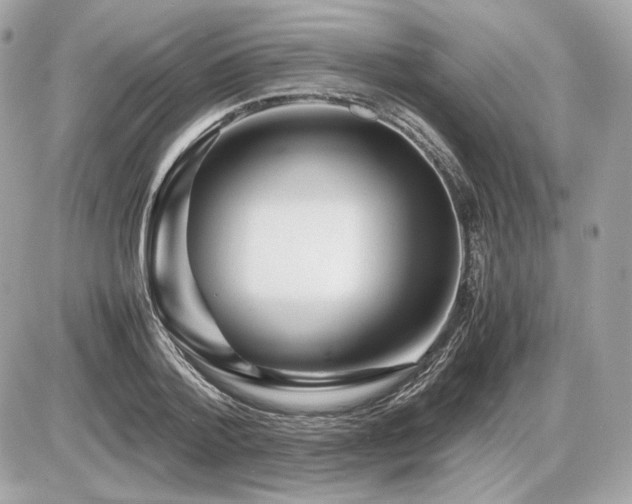 X0000086960788200704161517