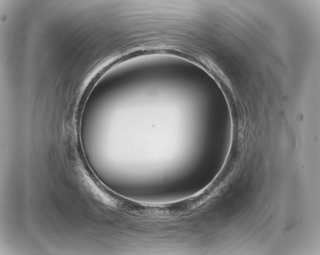 X0000086960789200704161517