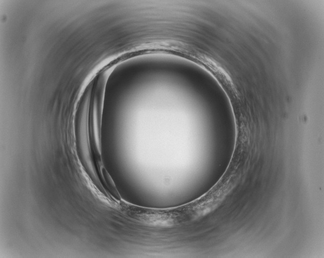 X0000086960792200704161517