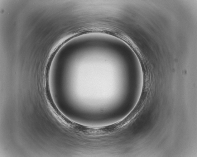 X0000086960795200704161517
