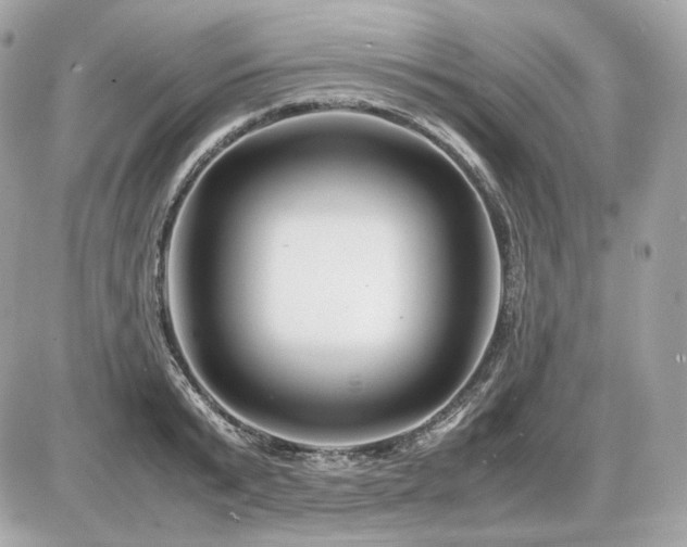 X0000086960799200704161517