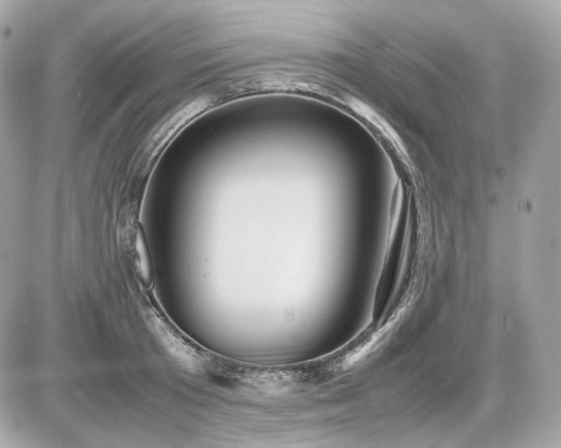 X0000086960801200704161517