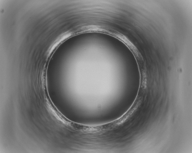 X0000086960806200704161517