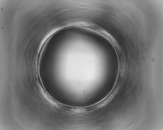 X0000086960808200704161517