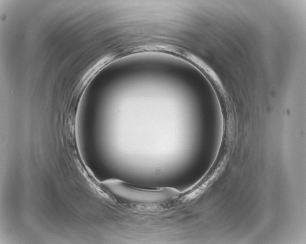 X0000086960809200704161517