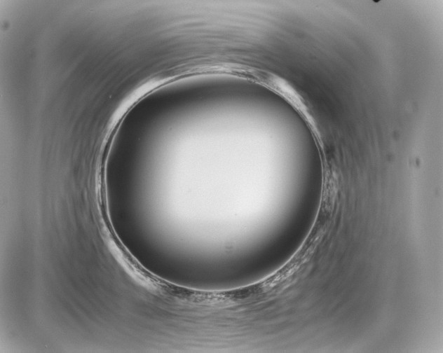 X0000086960811200704161517