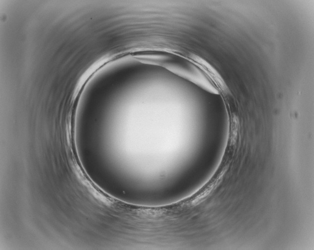 X0000086960812200704161517