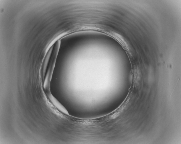 X0000086960814200704161517