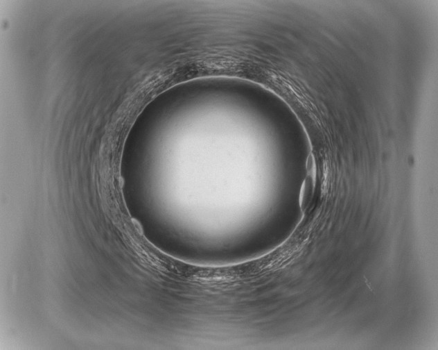 X0000086960817200704161516