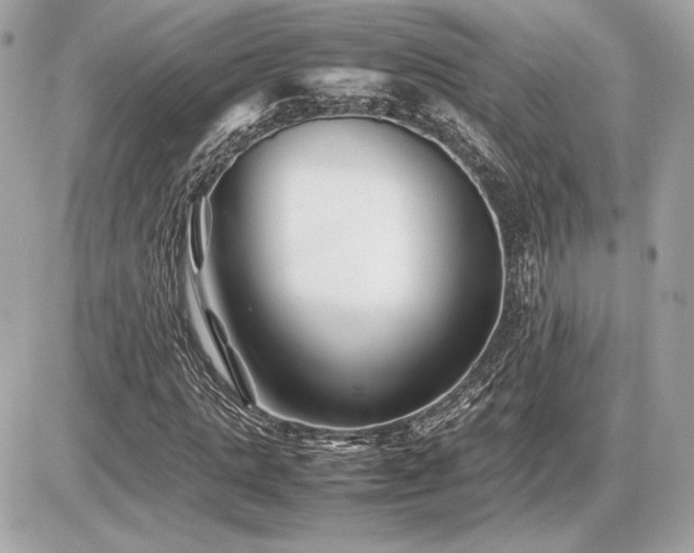 X0000086960821200704161516