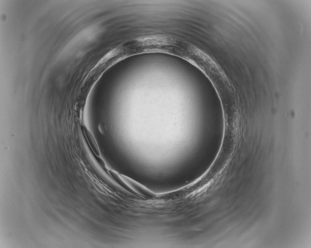 X0000086960825200704161516