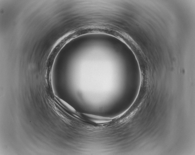 X0000086960830200704161516