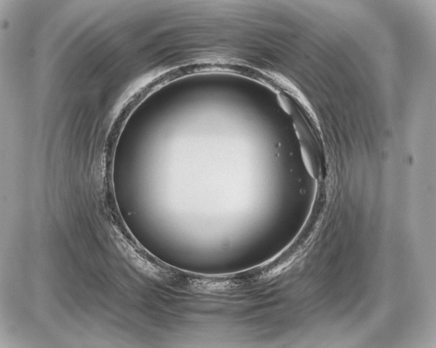 X0000086960831200704161516