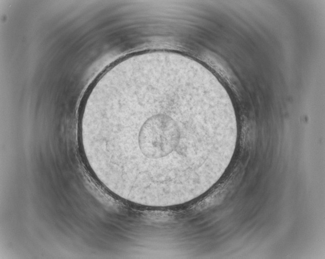 X0000086960836200704161516