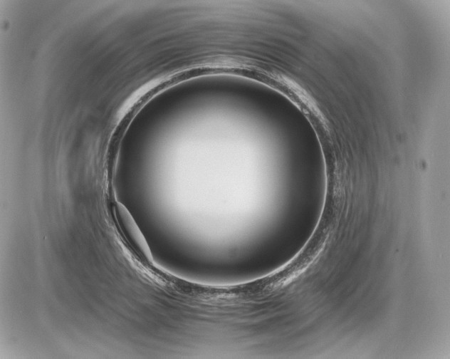X0000086960837200704161516