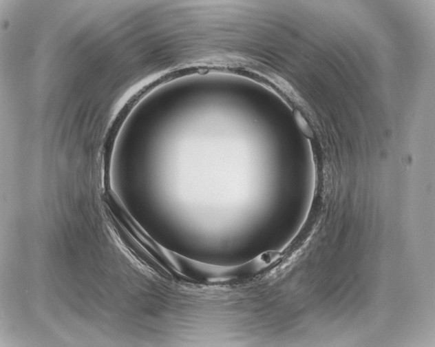 X0000086960838200704161516