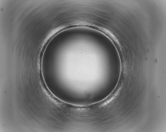 X0000086960839200704161516