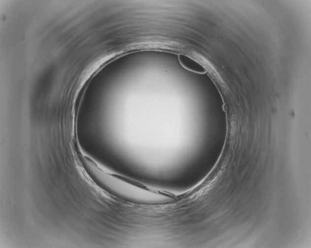 X0000086960844200704161517
