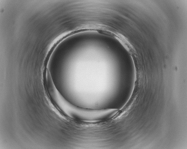 X0000086960846200704161517