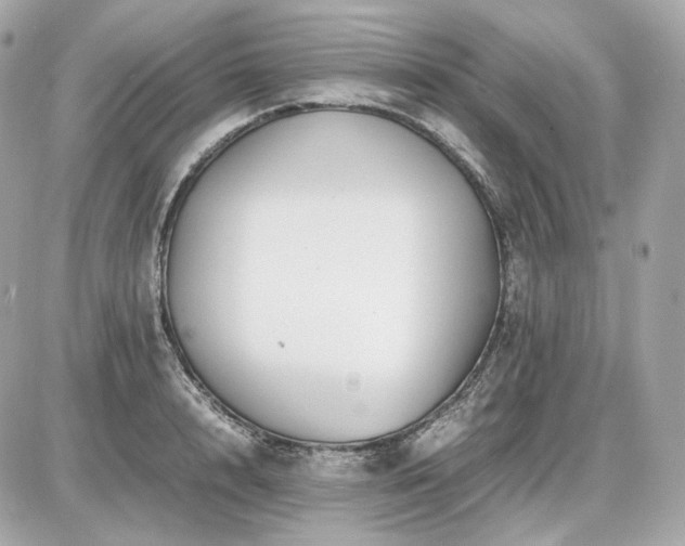 X0000086960848200704161517