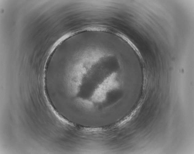 X0000086960853200704161517