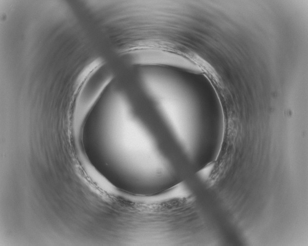 X0000086960854200704161517