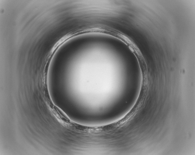 X0000086960858200704161517