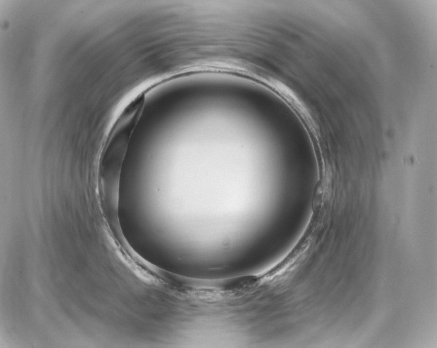 X0000086960862200704161517