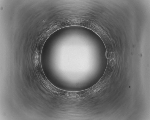 X0000086960866200704161516