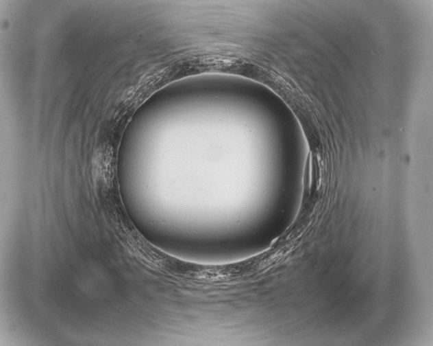X0000086960867200704161516