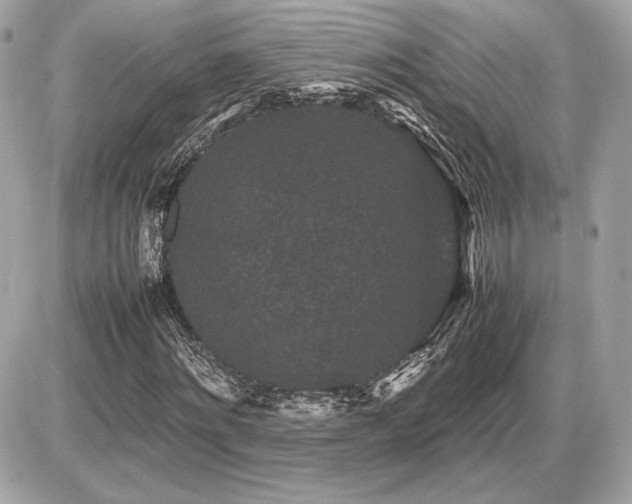 X0000086960868200704161516