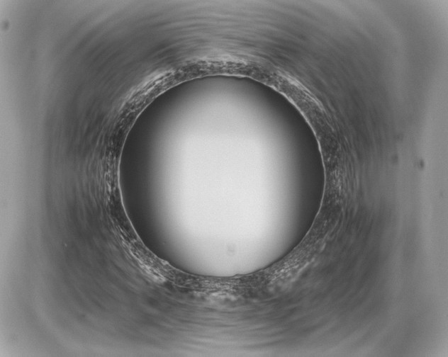 X0000086960870200704161516